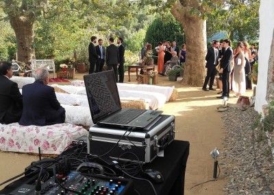Ceremonias en la avellana (4)
